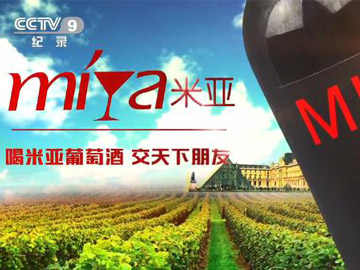 CCTV9腾博会官网宣传片